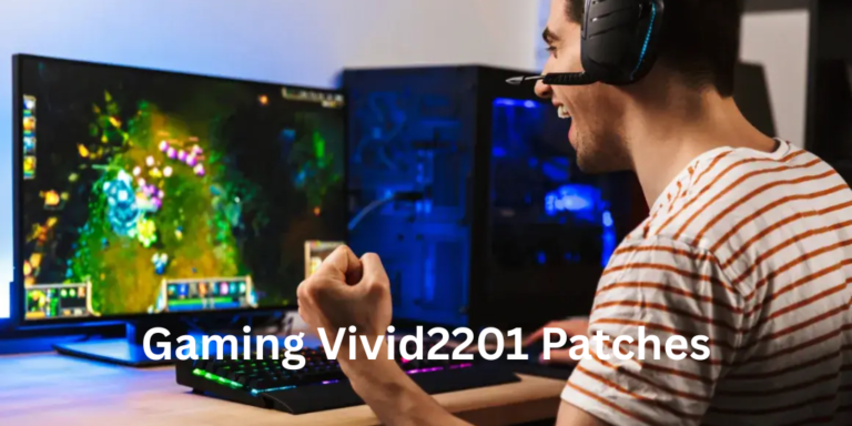 Gaming Vivid2201 Patches